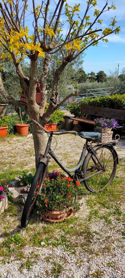 Antico Trullo Immerso Nella Campagna Alberobello Extérieur photo